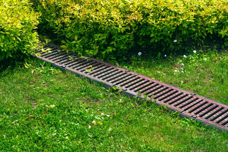 Backyard Drainage Improvement