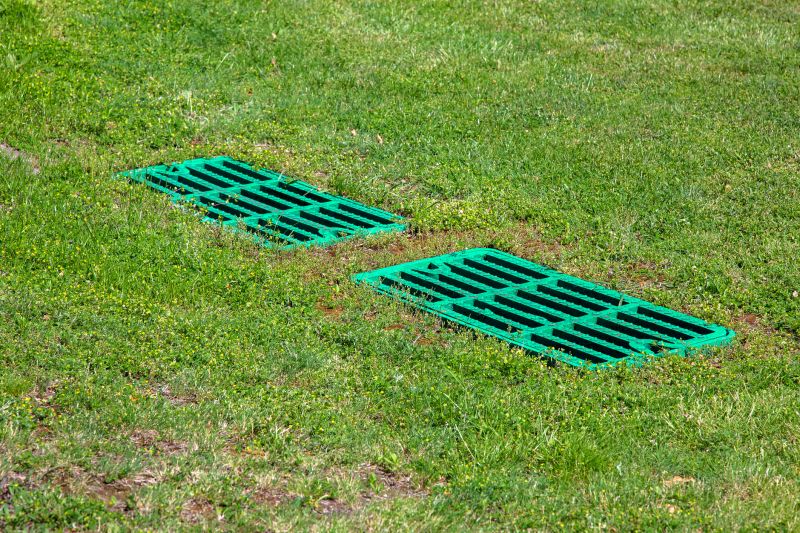 Backyard Drainage Improvement