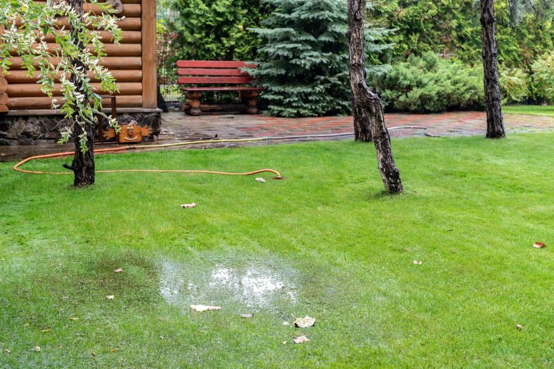 Backyard Drainage Improvement