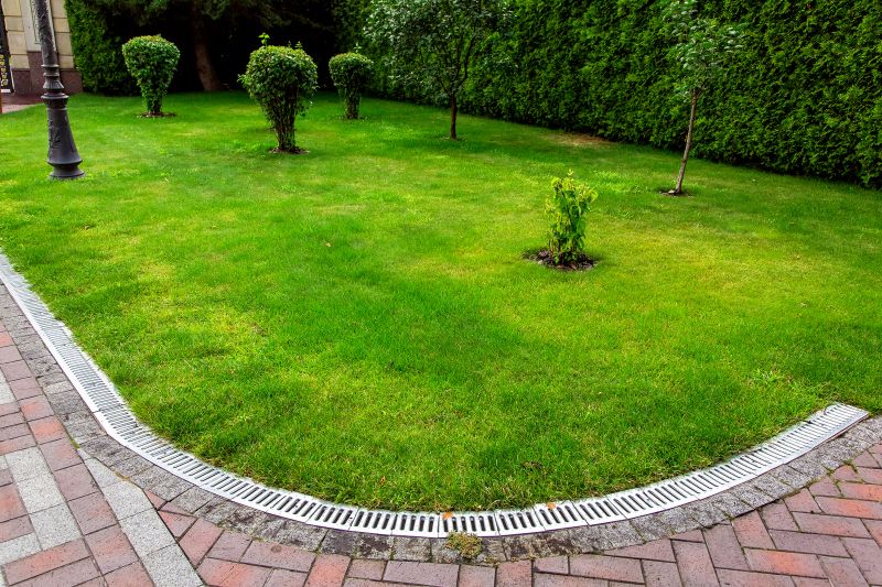 Products For Backyard Drainage Improvements in use